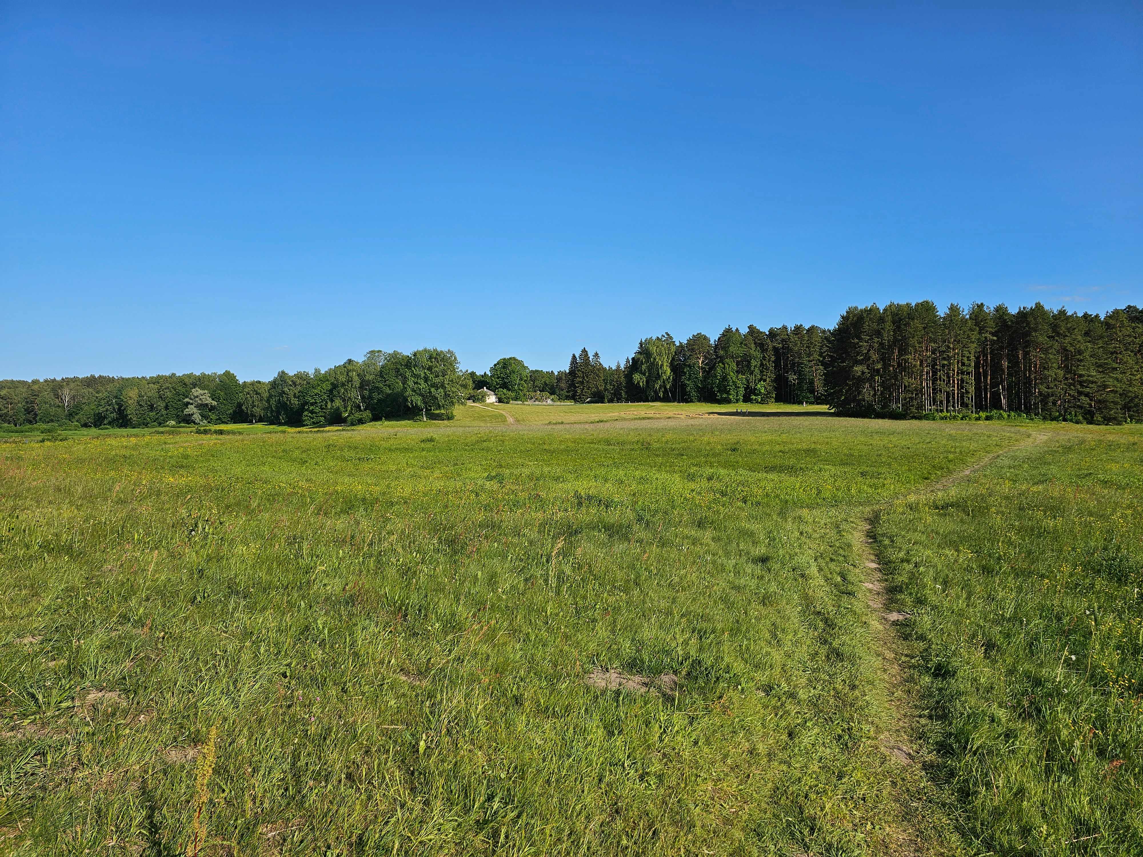 Михайловское